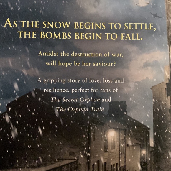 An orphan in the snow. Molly Green - Picture 3 of 5